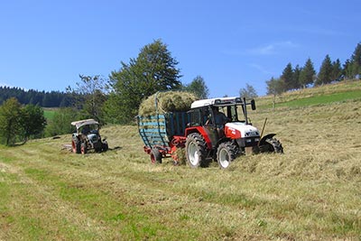 Der Bauer bei der Heuernte