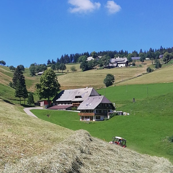 Harzlochhof, Wiesen und Felder